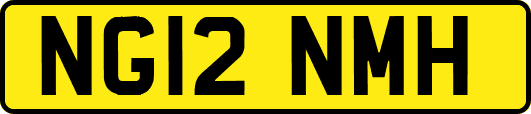 NG12NMH
