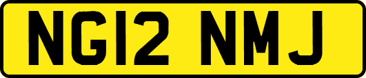 NG12NMJ