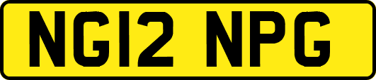 NG12NPG