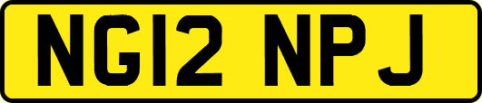 NG12NPJ