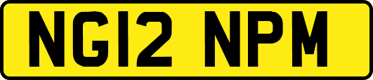 NG12NPM