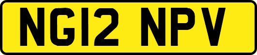 NG12NPV