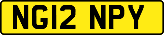 NG12NPY