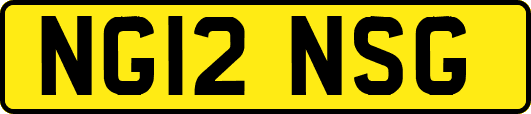 NG12NSG