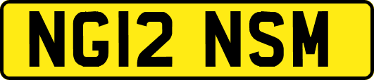 NG12NSM