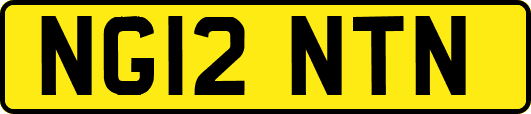 NG12NTN