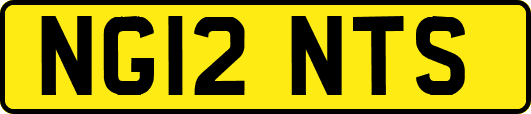 NG12NTS