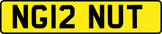 NG12NUT