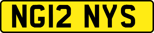 NG12NYS