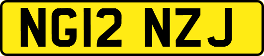 NG12NZJ
