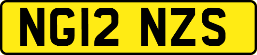 NG12NZS