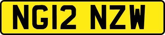 NG12NZW