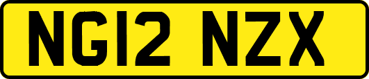 NG12NZX