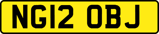 NG12OBJ