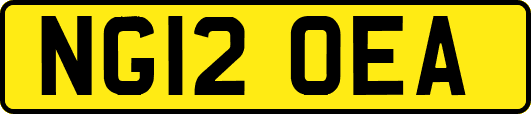 NG12OEA