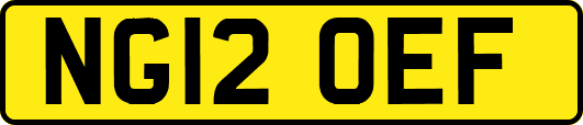 NG12OEF
