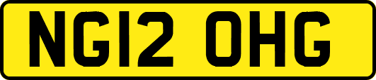 NG12OHG