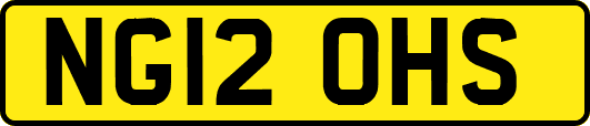 NG12OHS