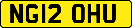 NG12OHU