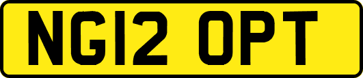 NG12OPT