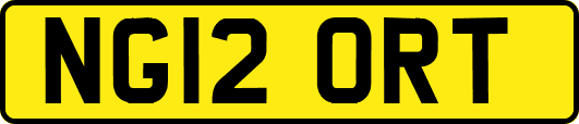 NG12ORT