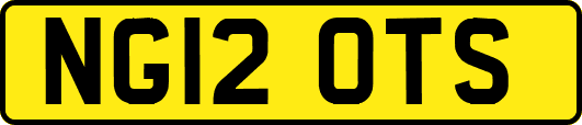 NG12OTS