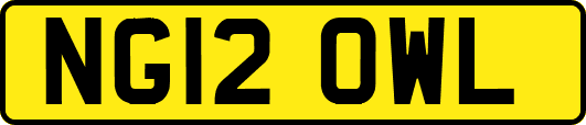NG12OWL
