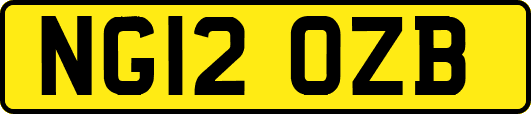 NG12OZB