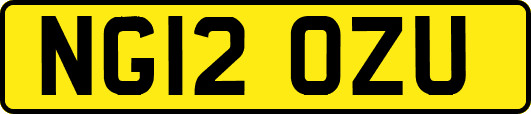 NG12OZU