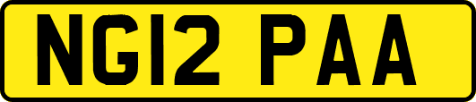 NG12PAA