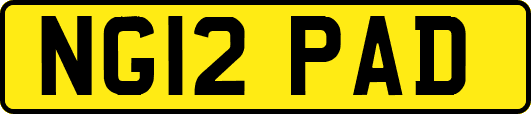 NG12PAD