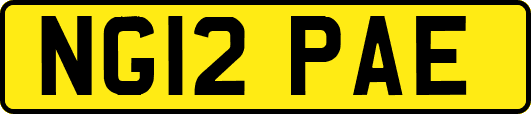 NG12PAE