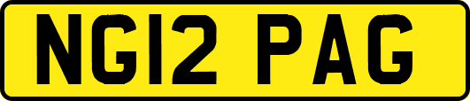 NG12PAG