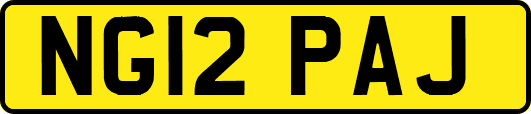NG12PAJ