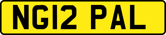 NG12PAL