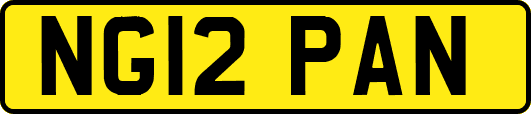NG12PAN
