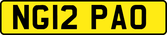 NG12PAO