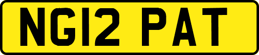 NG12PAT