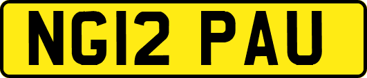 NG12PAU