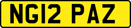 NG12PAZ