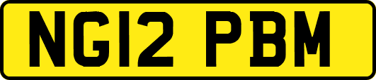 NG12PBM