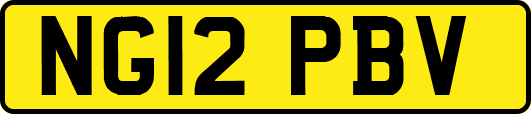 NG12PBV