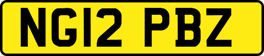 NG12PBZ