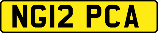 NG12PCA