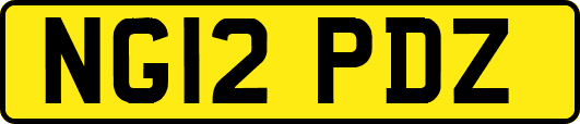 NG12PDZ