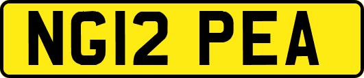 NG12PEA