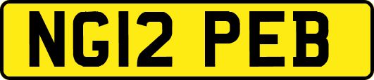 NG12PEB