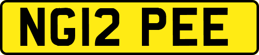 NG12PEE