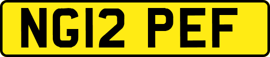 NG12PEF