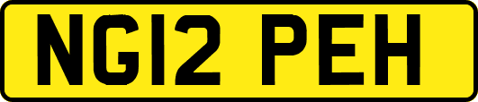 NG12PEH